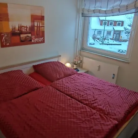 Apartament Harztraum Altenau (Lower-Saxony)